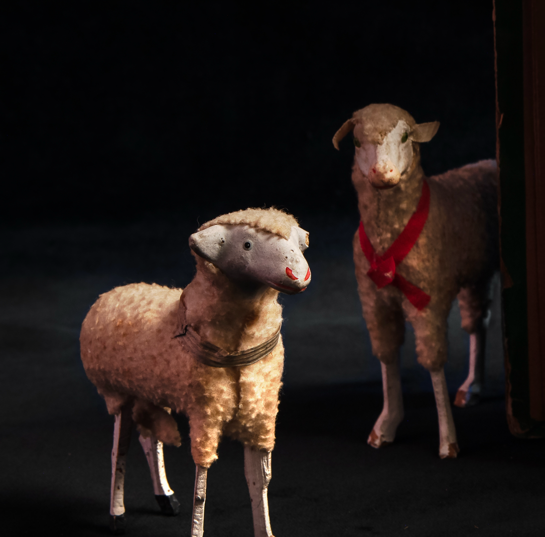 Raising Sheep Photographic Print