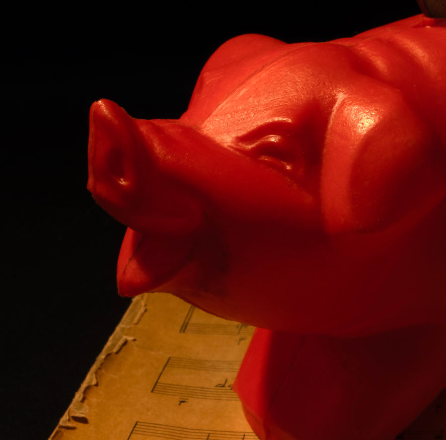 Piggy Bank Photographic Print