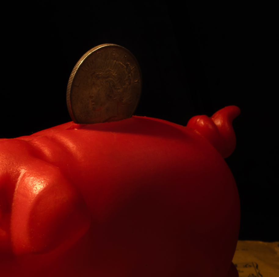 Piggy Bank Photographic Print